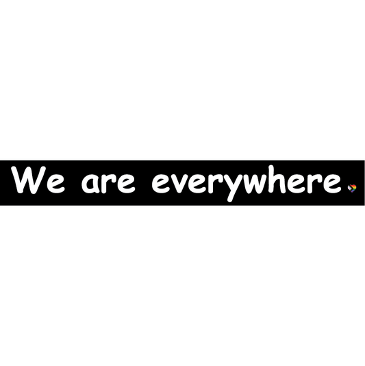 We are everywhere bumper sticker